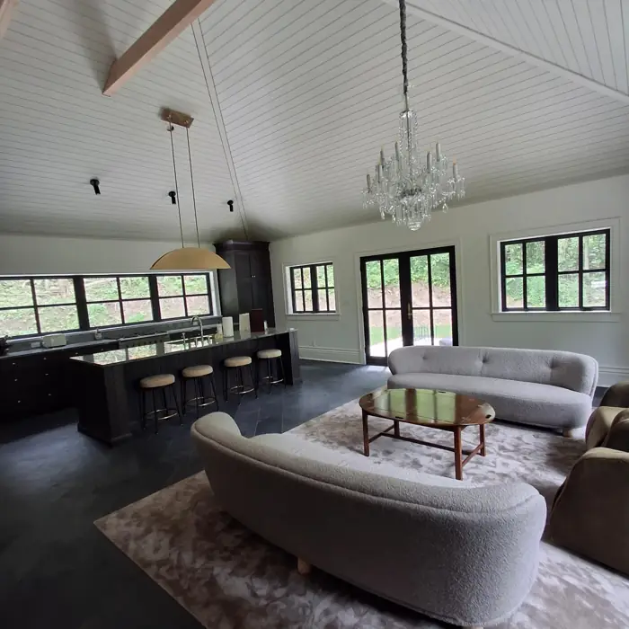 Full house paint and shiplap by AVS Contracting