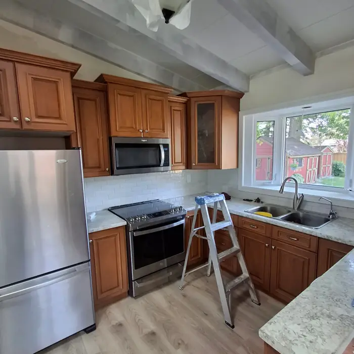 Open concept main floor by AVS Contracting